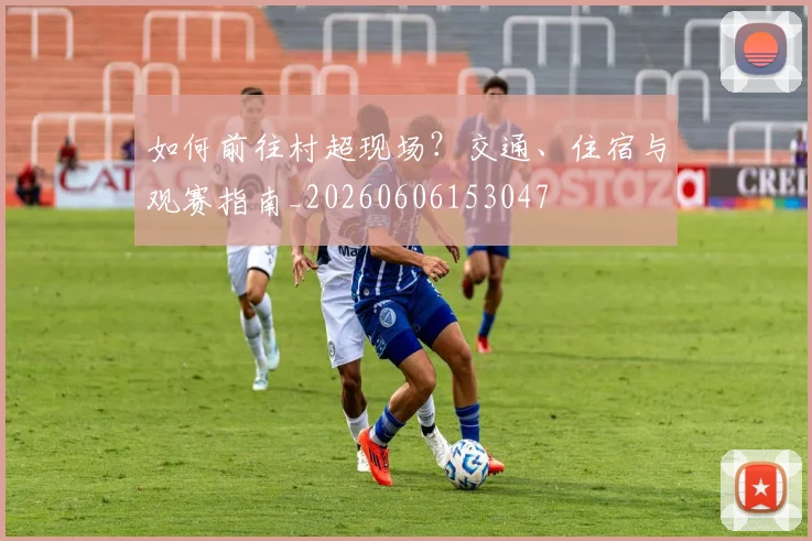 篮球明星的传奇生涯:从默默无闻到世界瞩目